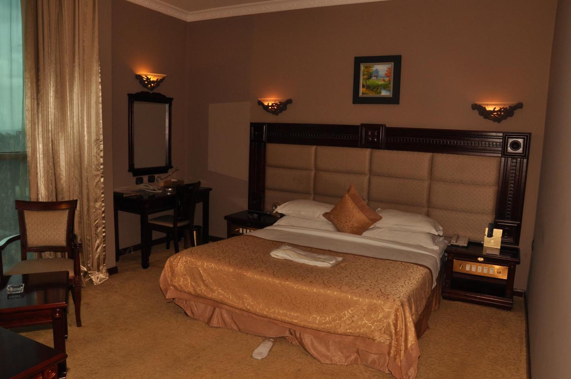 Friendship International Hotel أديس أبابا الغرفة الصورة