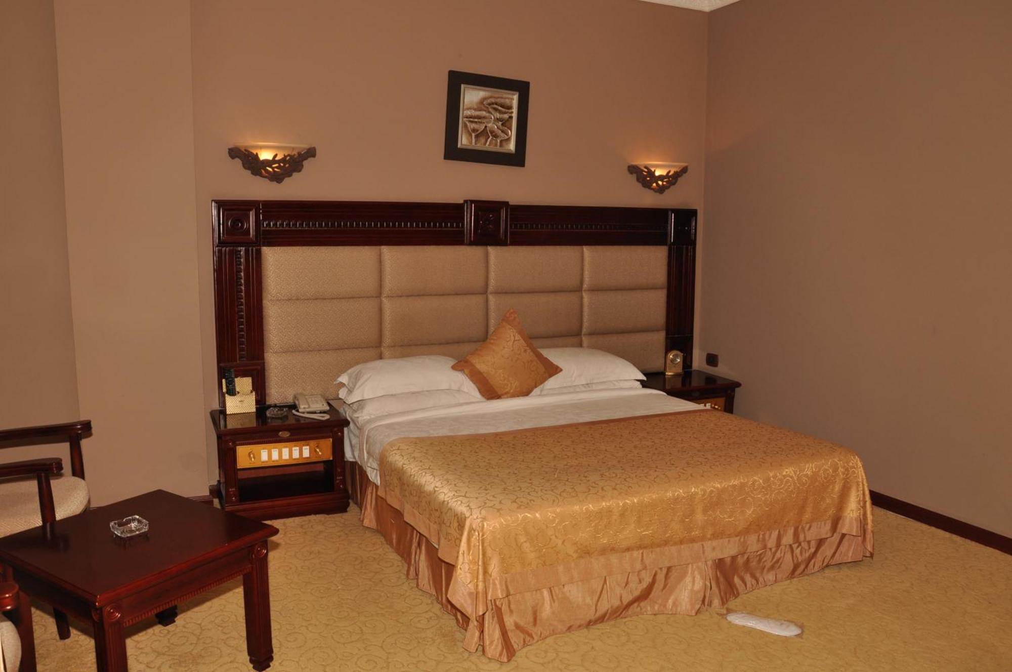 Friendship International Hotel أديس أبابا الغرفة الصورة
