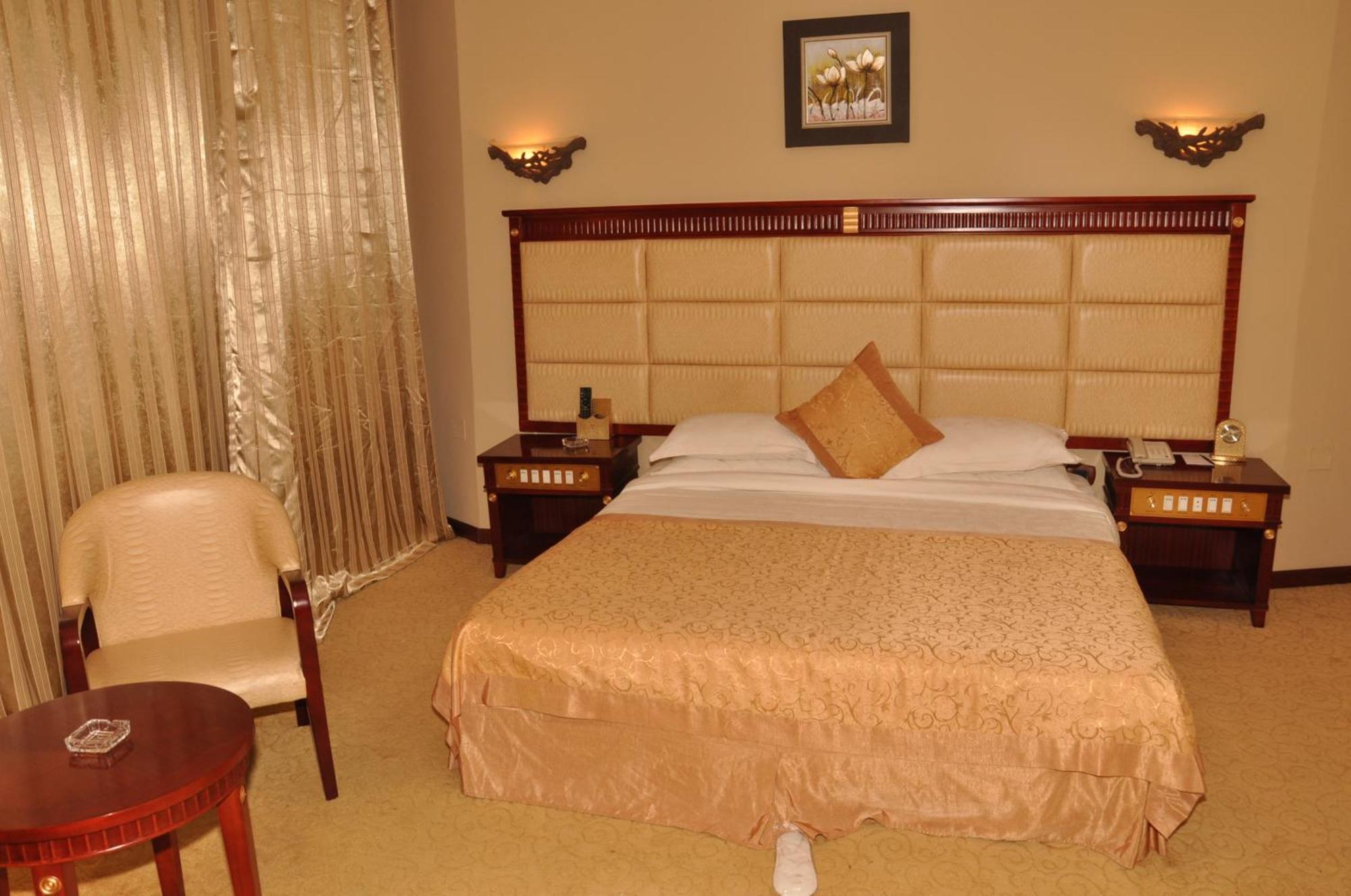 Friendship International Hotel أديس أبابا الغرفة الصورة