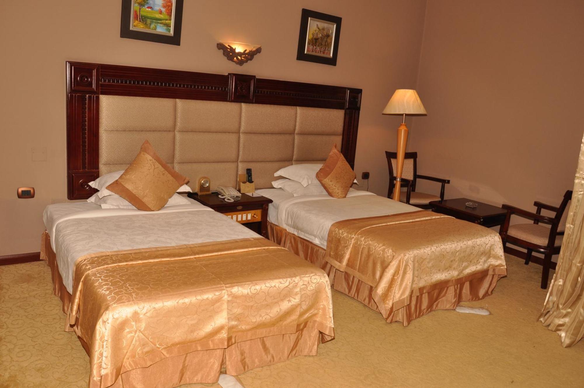 Friendship International Hotel أديس أبابا الغرفة الصورة