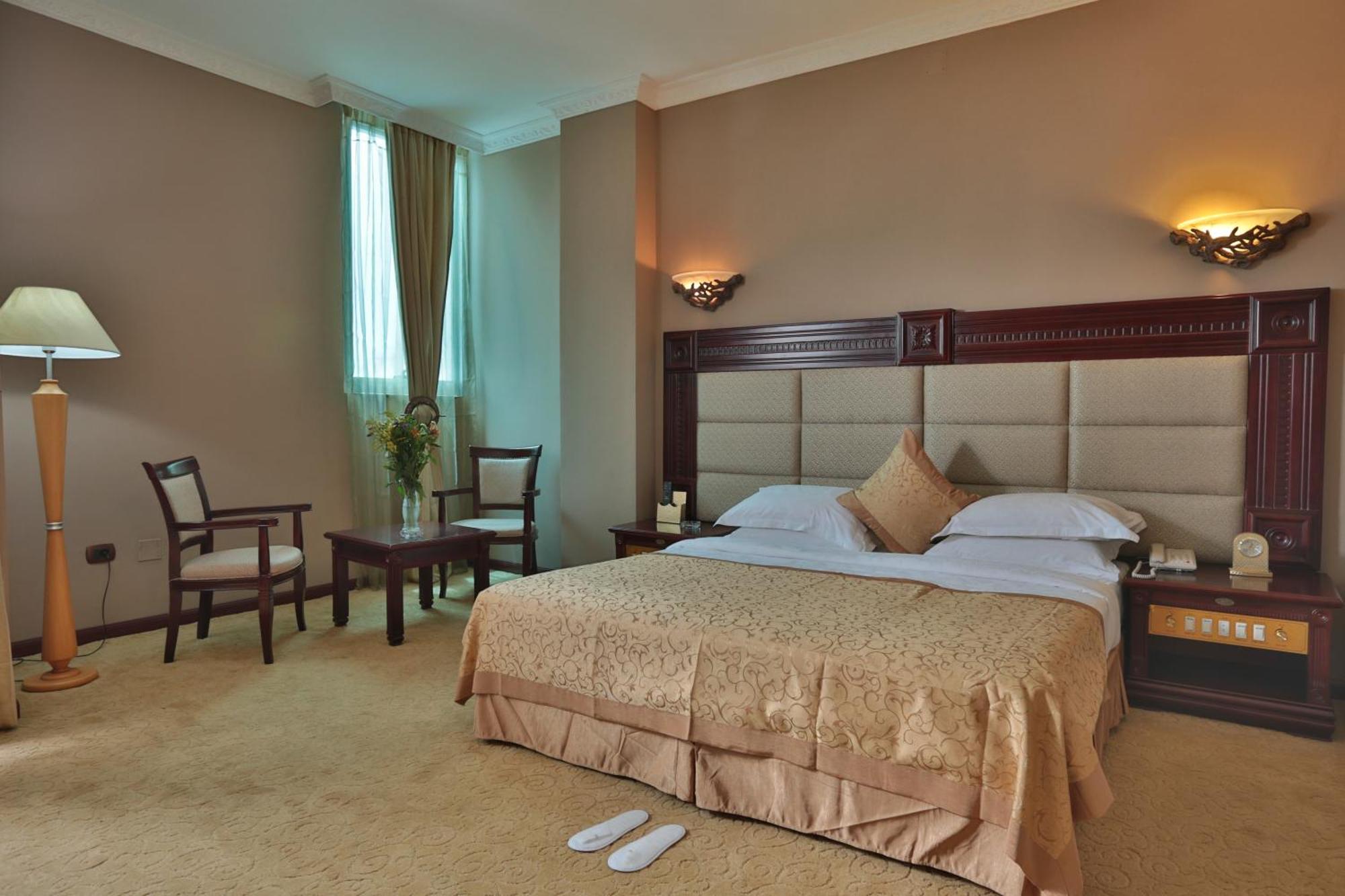 Friendship International Hotel أديس أبابا الغرفة الصورة